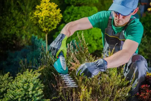 landscaping services Mountain Lodge Park